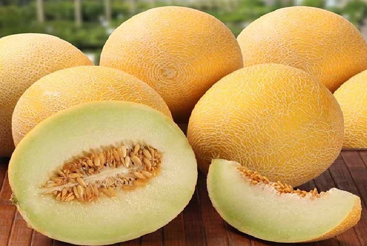 تفاوت گرمک، سمسوری، طالبی و ملون