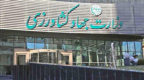 نادیده گرفتن نظرات کارشناسی:برای معیشت «کارکنان جهاد کشاورزی» کاری نکردند