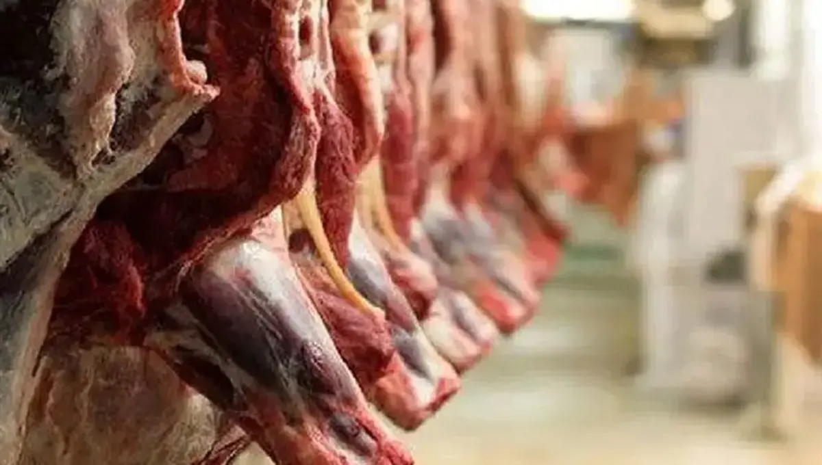 واردات گوشت قرمز از سر گرفته شد؛ توزیع محصول به زودی در بازار + آیا دولت فکری به حال کاهش تقلب  و جازدن میش های پیر در محموله های وارداتی کرده است؟