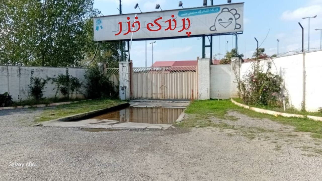 توقف پرداخت های میلیاردی برای تهیه یخ با نصب یخ ساز صنعتی توسط  مدیریت جدید کشتارگاه