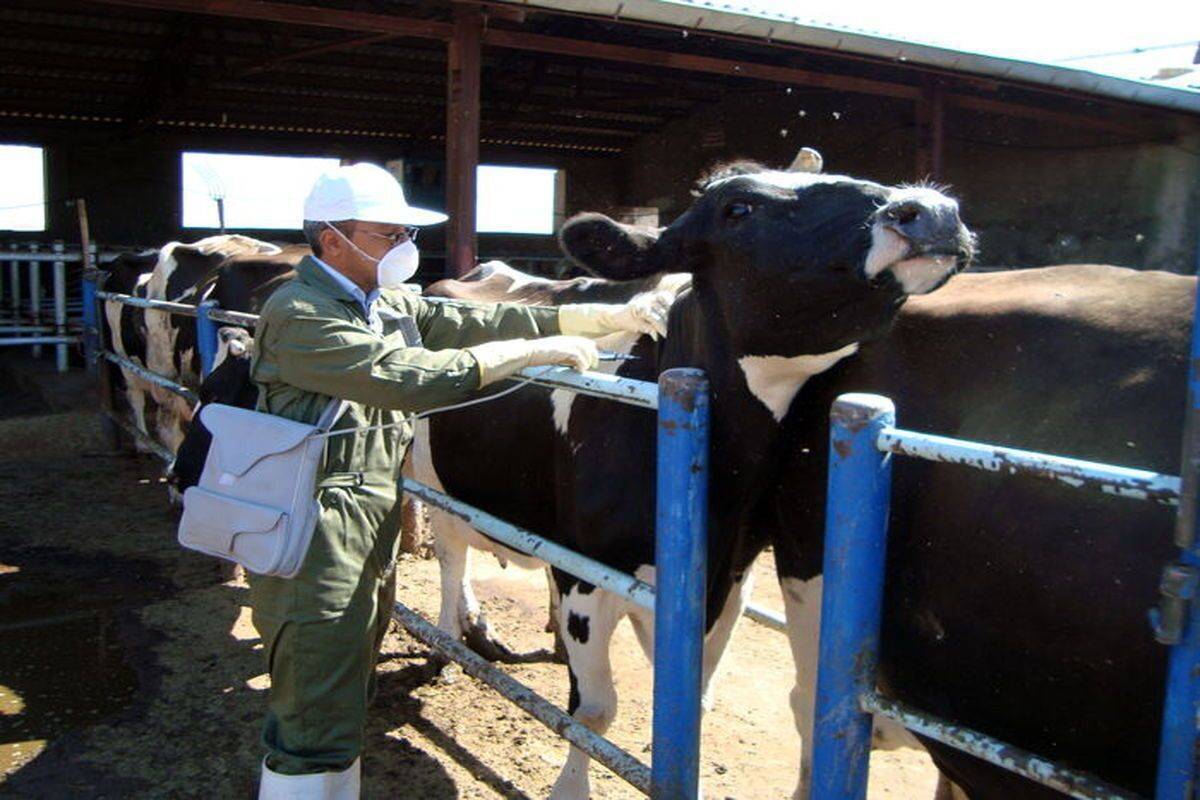 اطلاع رسانی درخصوص واردات پنج میلیون و سیصد هزار دز واکسن تب برفکی : قبل از اپیدمی تب برفکی اسمتان چه بود؟ + ضرورت ورود سازمان بازرسی به پرونده مدیران اهمال کار