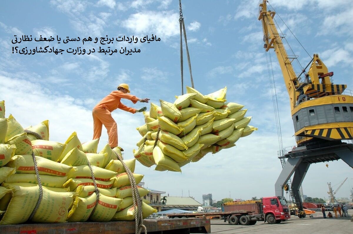 یک واردکننده برنج ۲۵۰ میلیون دلار از گران فروشی سود کرد + اسم سیستم نظارتی وزارت جهادکشاورزی برای ممانعت از این تخلف چه بود، کدو حلوایی پاییزه ؟