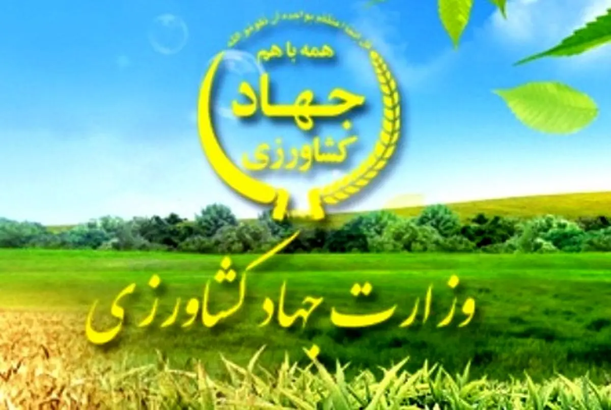 ادعای تشدید نظارت در بازارگاه و مسدودسازی حساب متخلفان و ارسال پروندهها به تعزیرات ادعای تشدید نظارت در بازارگاه و مسدودسازی حساب متخلفان و ارسال پروندهها به تعزیرات