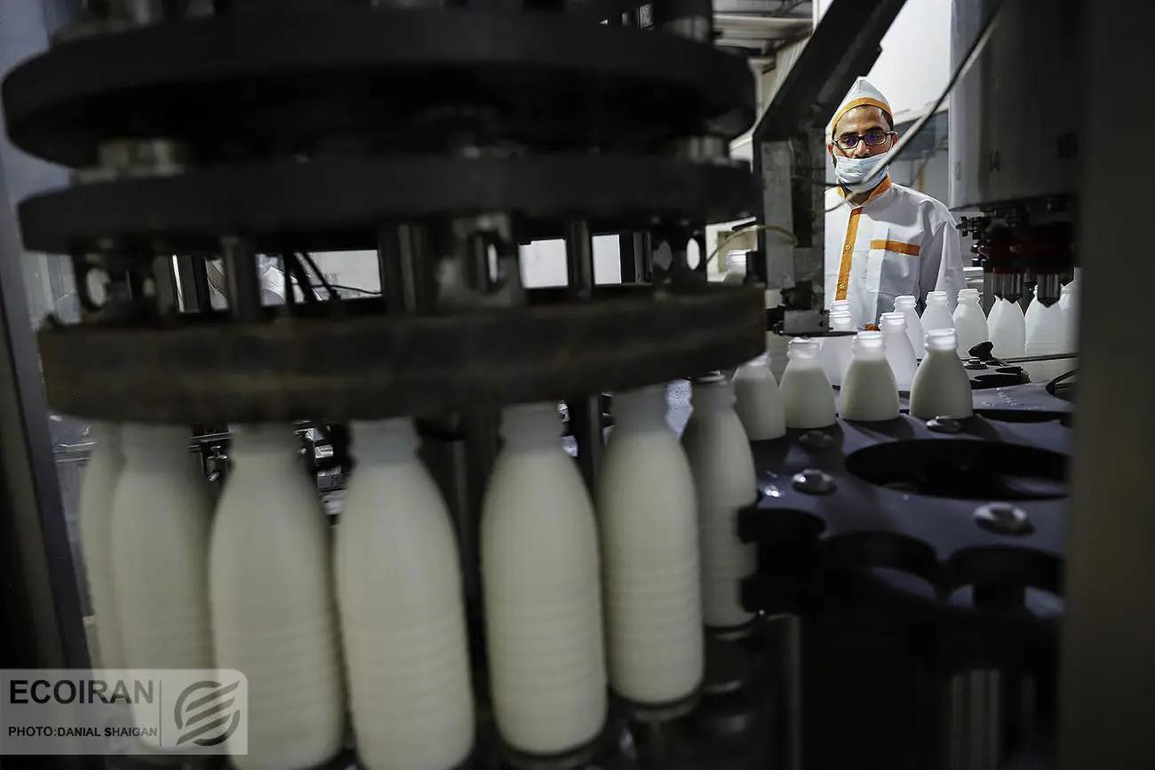 کاهش قیمت لبنیات از الزام تا تحقق مشروط + سه سناریوی قیمتگذاری شیر خام کاهش قیمت لبنیات از الزام تا تحقق مشروط + سه سناریوی قیمتگذاری شیر خام