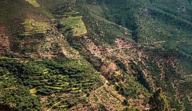 نابودی جنگلهای هیرکانی در آتش بیتوجهی سازمان منابع طبیعی و آبخیزداری کشور + سازمانی مشغول به ماده 56 ، ملی کردن اراضی و غافل از ورود موثر به سایر وظایف + چه خبر از تلاش های کور برای تصاحب زمین مردم در اطراف فرودگاه مهرآباد،خرگوش دره و قریه حسین آباد + در صورت کم توجهی به هشدارهای مشفقانه، منتظر یک افشاگری از برخی از فسادها و ورود به یک رسوایی سازمانی باشید نابودی جنگلهای هیرکانی در آتش بیتوجهی سازمان منابع طبیعی و آبخیزداری کشور + سازمانی مشغول به ماده 56 ، ملی کردن اراضی و غافل از ورود موثر به سایر وظایف + چه خبر از تلاش های کور برای تصاحب زمین مردم در اطراف فرودگاه مهرآباد،خرگوش دره و قریه حسین آباد + در صورت کم توجهی به هشدارهای مشفقانه، منتظر یک افشاگری از برخی از فسادها و ورود به یک رسوایی سازمانی باشید