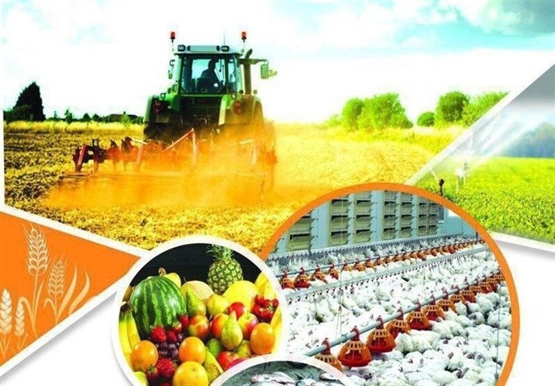 اصلاح طرح تقویت امنیت غذایی کشور و رفع موانع تولیدات کشاورزی با حذف ماده ۱۱ توسط نمایندگان مجلس دوازدهم اصلاح طرح تقویت امنیت غذایی کشور و رفع موانع تولیدات کشاورزی با حذف ماده ۱۱ توسط نمایندگان مجلس دوازدهم