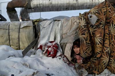پناهگاه زنی بی خانمان، روسیه